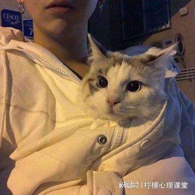 全民戮仙官方手游下载